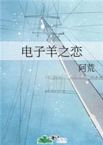 电子羊之恋